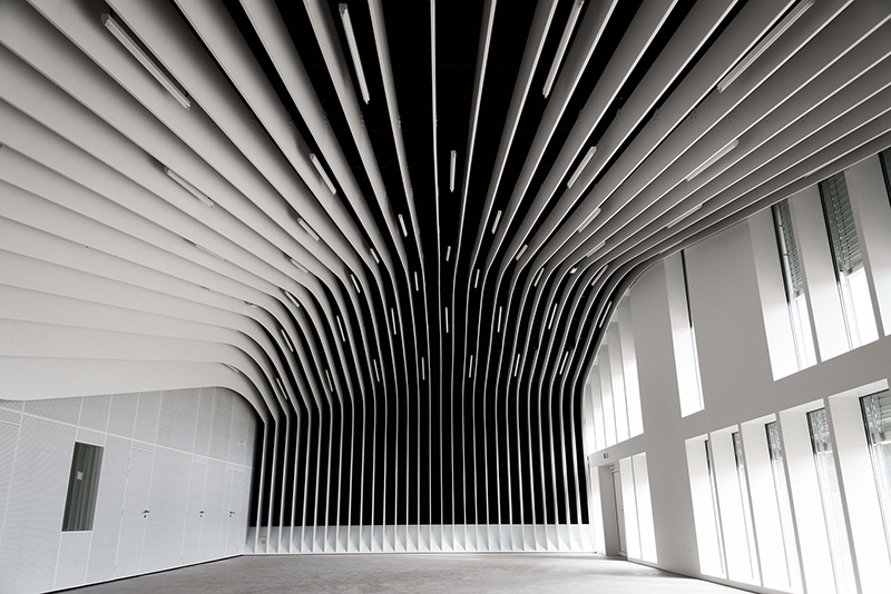 Plafond haut, bombé et en forme arquée, créant un volume impressionnant, avec sur la droite un mur intégrant des portes et fenêtres en verre